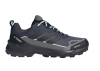 Ботинки Terrex SKYCHASER AX5 GTX (RU 41 UK 8.5 USm 9 СМ 26.3; Black / GreyFour / Carbon)